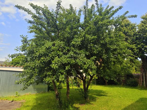 Prodej rodinného domu, Karlovy Vary - Dvory, V. Meerwalda, 541 m2