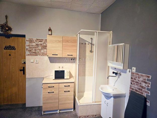 Prodej rodinného domu, Karlovy Vary - Dvory, V. Meerwalda, 541 m2