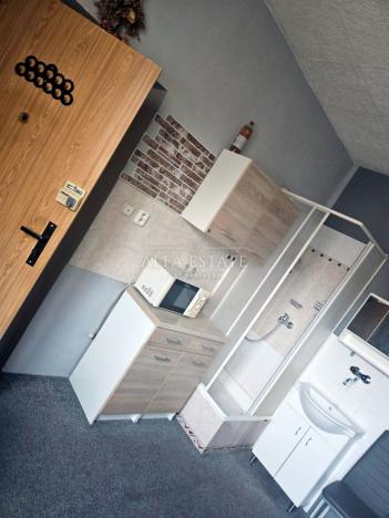 Prodej rodinného domu, Karlovy Vary - Dvory, V. Meerwalda, 541 m2