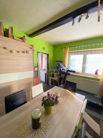 Prodej rodinného domu, Karlovy Vary - Dvory, V. Meerwalda, 541 m2