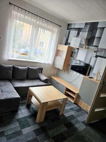 Prodej rodinného domu, Karlovy Vary - Dvory, V. Meerwalda, 541 m2