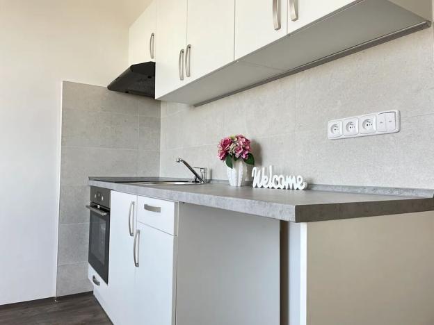 Pronájem bytu 1+1, Litvínov, Školní, 35 m2