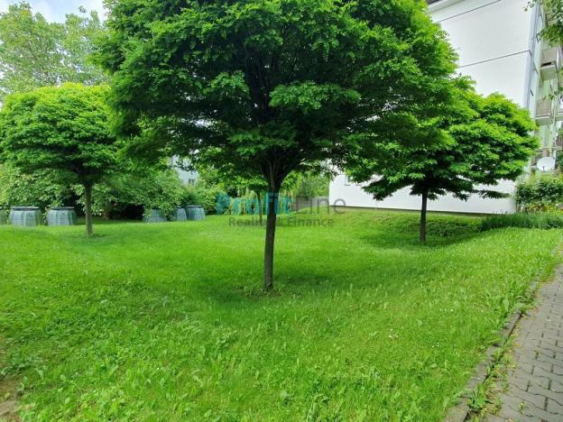 Prodej bytu 3+1, Postřelmov, Nová, 61 m2