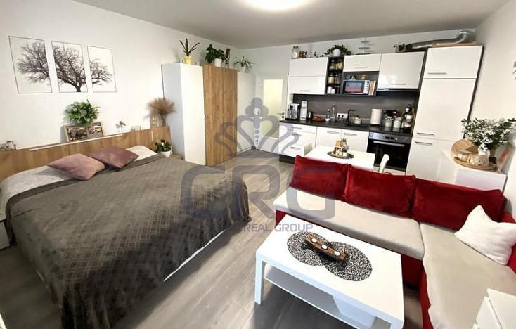 Pronájem bytu 1+kk, Slavkov u Brna, 39 m2