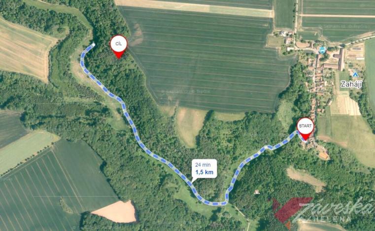 Prodej lesa, Chorušice, 11767 m2