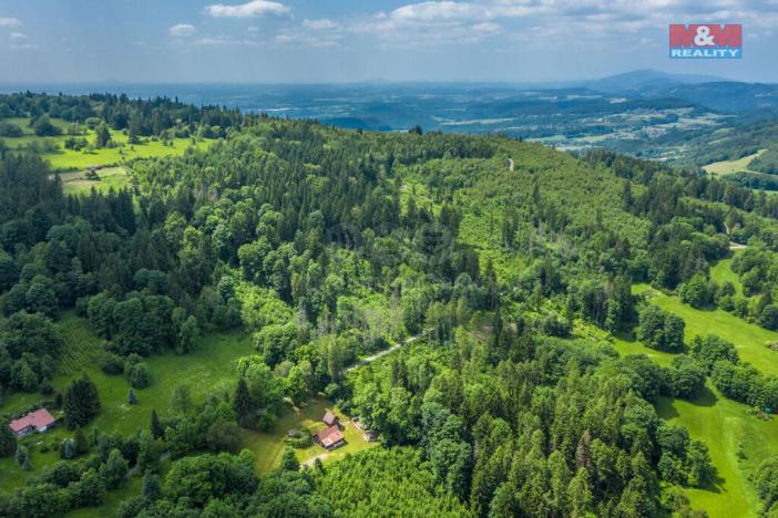 Prodej lesa, Chuchelna, 29930 m2