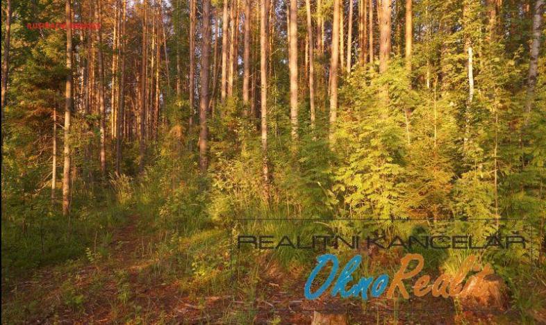 Prodej lesa, Pňov-Předhradí - Předhradí, 7426 m2