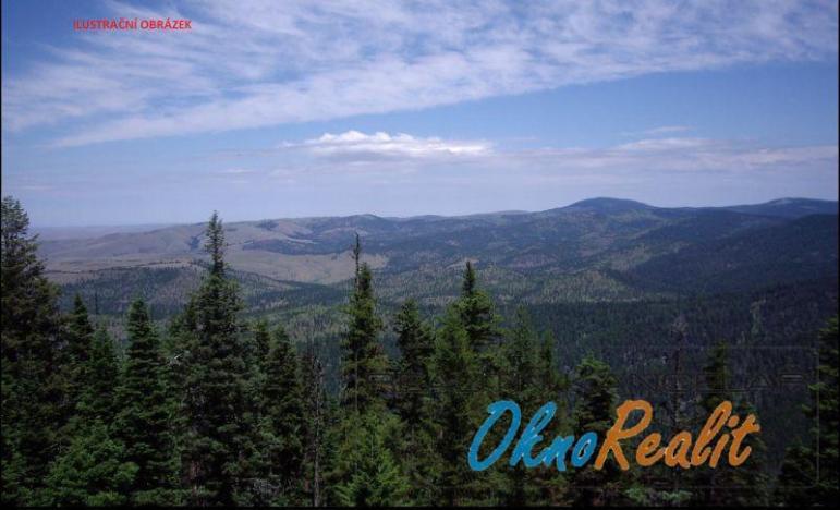 Prodej lesa, Oseček, 78338 m2