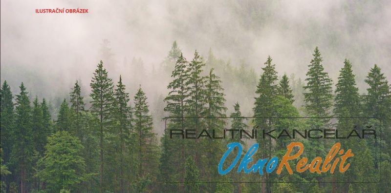 Prodej lesa, Hořátev, 89183 m2