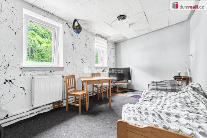 Prodej rodinného domu, Jáchymov, tř. Čs. armády, 380 m2