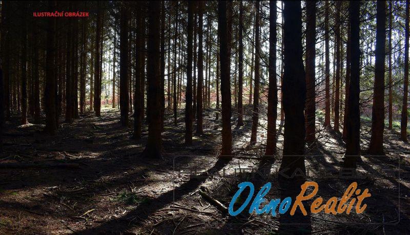 Prodej lesa, Vrbová Lhota, 14637 m2