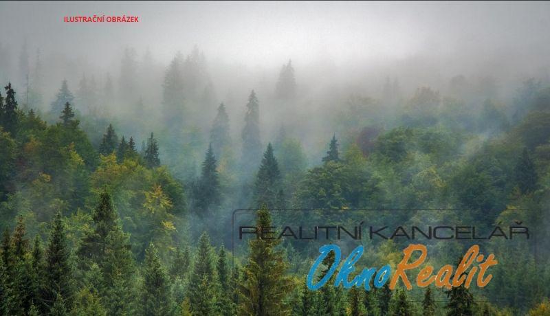 Prodej lesa, Vrbová Lhota, 14637 m2