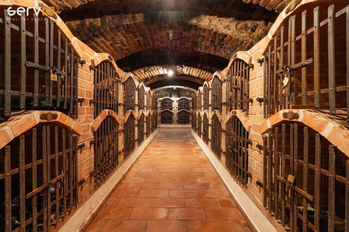 Prodej ubytování, Dolní Dunajovice, Hlavní, 1383 m2