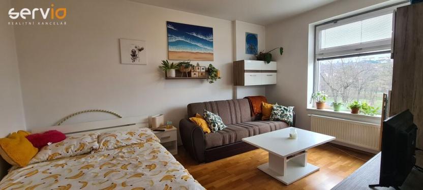 Pronájem bytu 1+kk, Brno, Božetěchova, 39 m2
