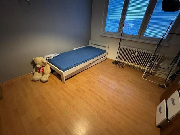 Pronájem bytu 3+1, Most, Hutnická, 57 m2