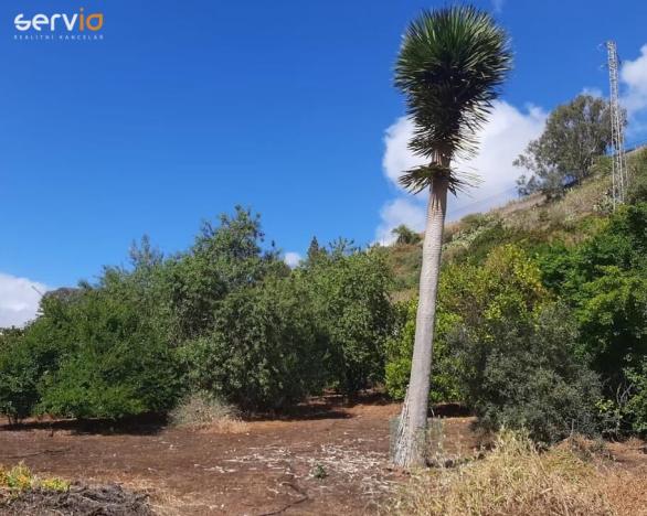 Prodej rodinného domu, Vega de San Mateo,Španělsko, 142 m2