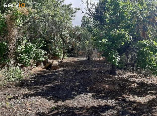 Prodej rodinného domu, Vega de San Mateo,Španělsko, 142 m2