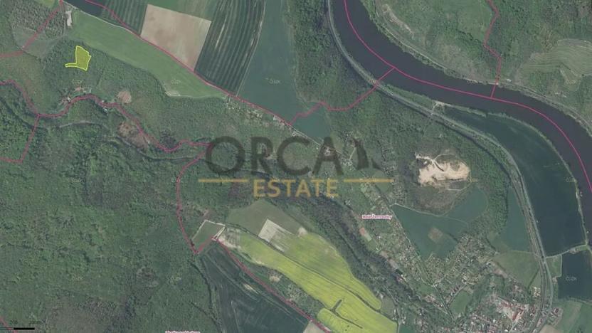 Prodej lesa, Malé Žernoseky, 7464 m2