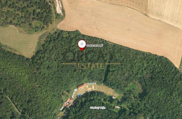 Prodej lesa, Malé Žernoseky, 7464 m2