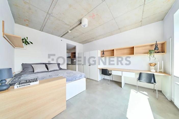 Pronájem bytu 1+kk, Brno, Dornych, 24 m2