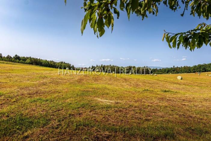 Prodej pozemku pro bydlení, Dubičné, 4385 m2