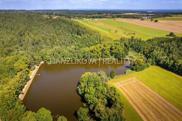 Prodej pozemku pro bydlení, Dubičné, 4385 m2