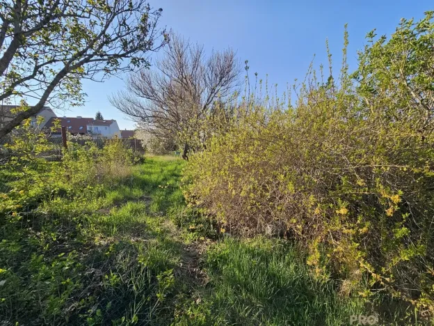 Prodej pozemku pro bydlení, Dolní Bojanovice, 655 m2