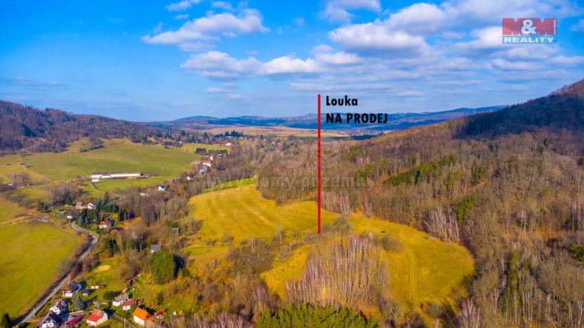 Prodej louky, Žandov - Radeč, 3251 m2