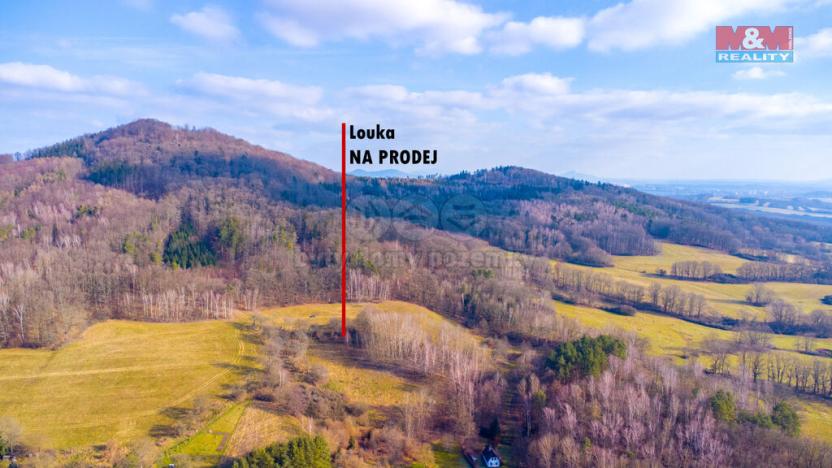 Prodej louky, Žandov - Radeč, 3251 m2