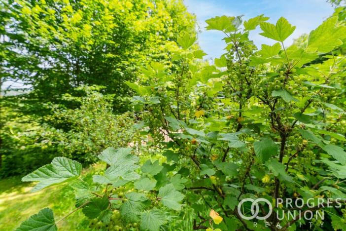 Prodej pozemku pro bydlení, Jablůnka, 46878 m2