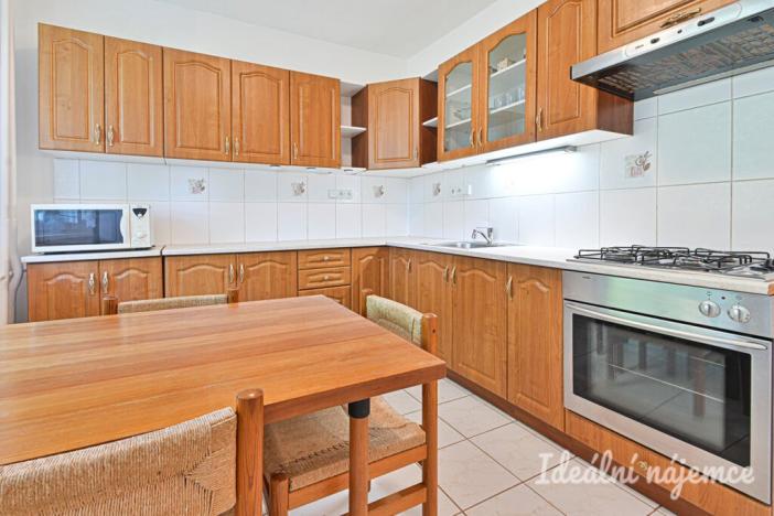 Pronájem bytu 1+1, Brno, Pod nemocnicí, 45 m2