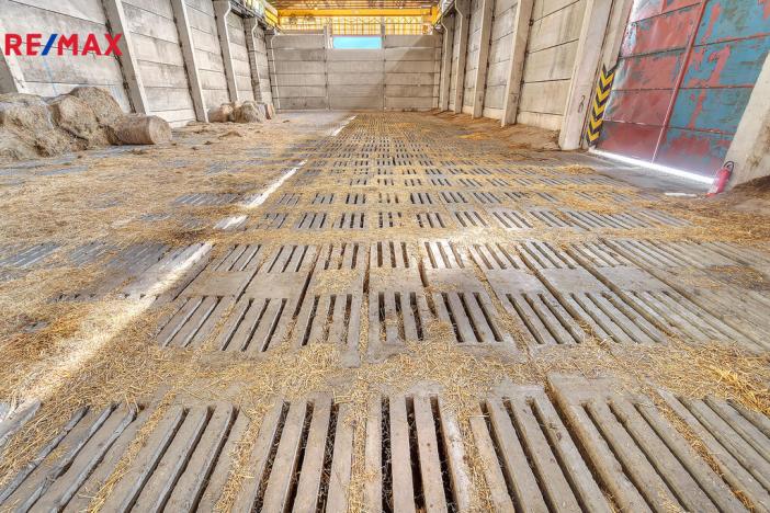 Prodej skladu, Bílá Třemešná, 1400 m2