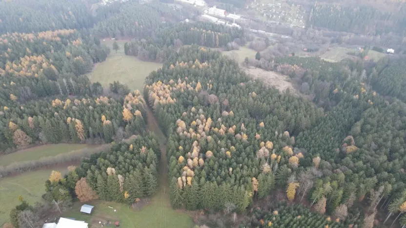 Prodej chaty, Valašské Klobouky, 33 m2