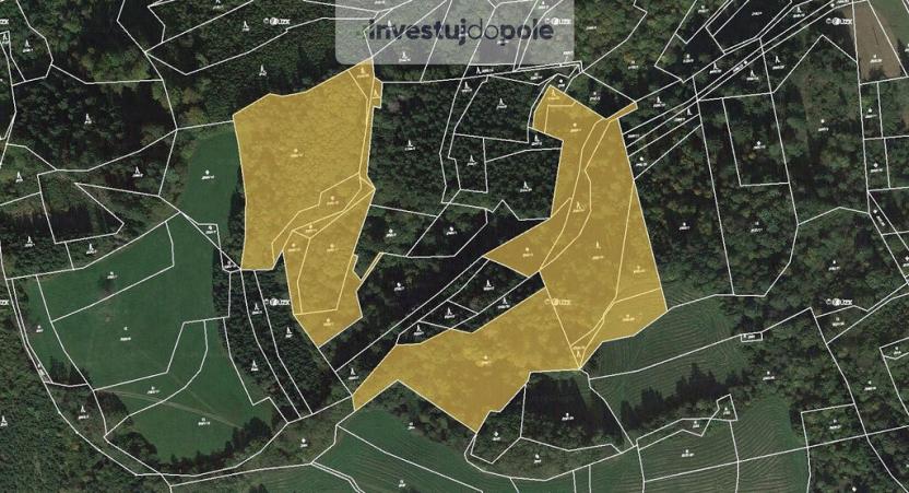 Prodej lesa, Hovězí, 32951 m2