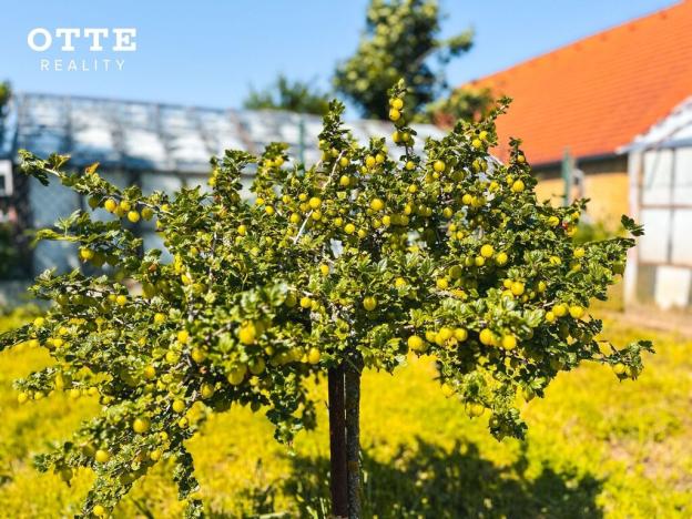 Prodej rodinného domu, Horšovský Týn, Fibichova, 97 m2