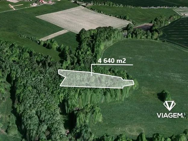 Prodej podílu lesa, Kamenice, 1546 m2