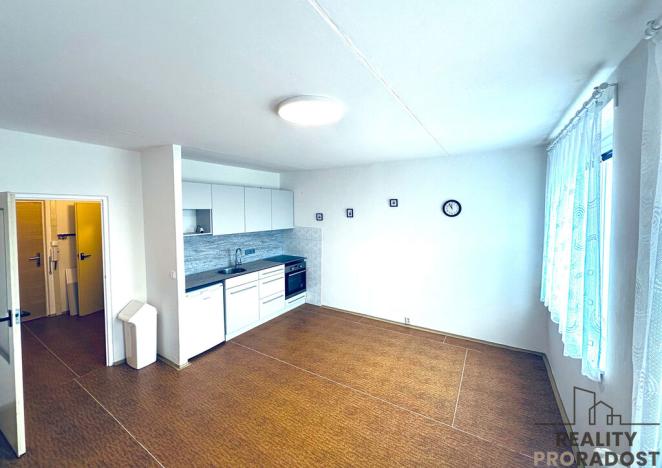 Pronájem bytu 1+kk, Brno, Havelkova, 32 m2