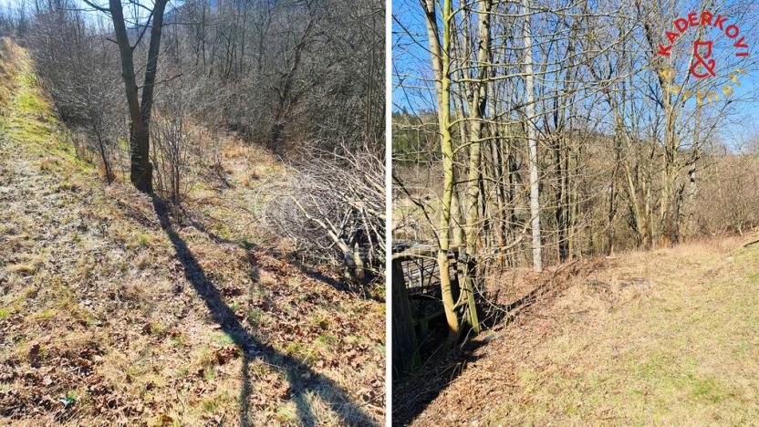 Prodej rodinného domu, Březová nad Svitavou, 170 m2