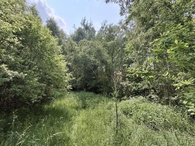 Prodej pozemku, Pomezí nad Ohří, 39941 m2