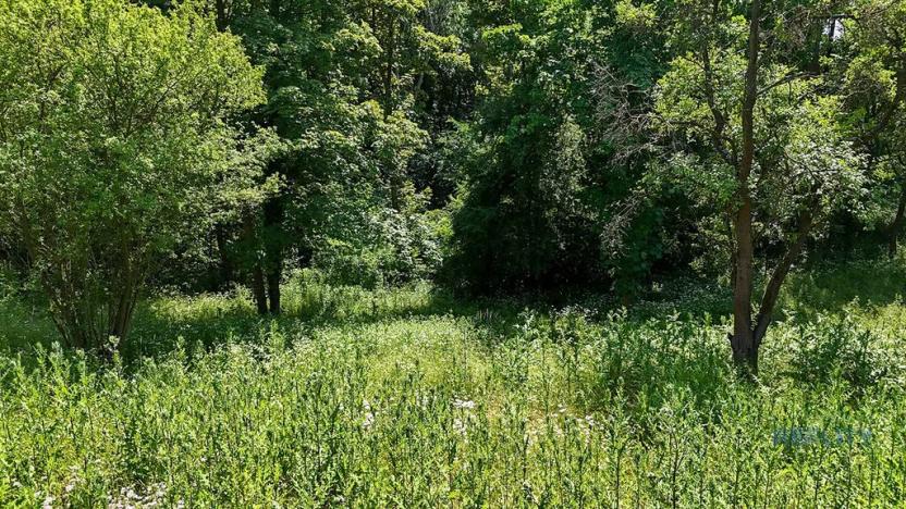 Prodej komerčního pozemku, Praha - Dolní Chabry, 10599 m2