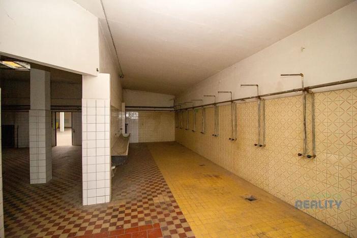 Pronájem obchodního prostoru, Brandýs nad Labem-Stará Boleslav, 826 m2