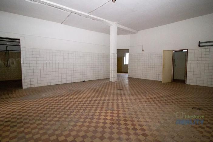 Pronájem výrobních prostor, Brandýs nad Labem-Stará Boleslav, 826 m2