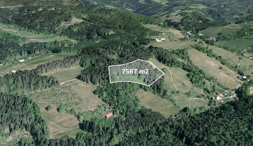 Prodej pole, Francova Lhota, 7567 m2
