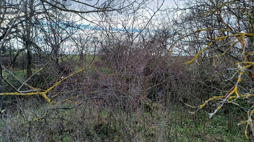 Prodej chaty, Strachotice, 36 m2