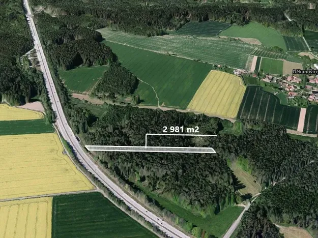 Prodej lesa, Studený, 2981 m2