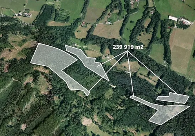 Prodej podílu lesa, Smilovice, 2789 m2