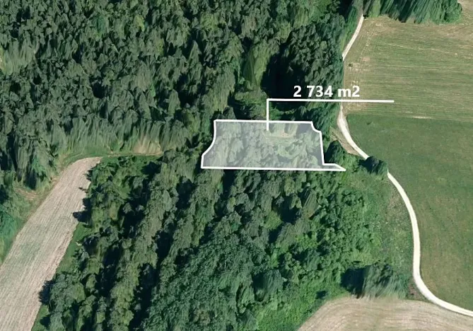 Prodej podílu lesa, Suchdol nad Lužnicí, 1367 m2