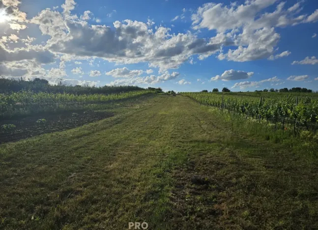 Prodej pozemku pro bydlení, Starý Poddvorov, 800 m2