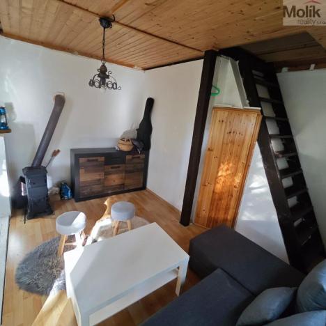 Prodej chaty, Ústí nad Labem - Brná, Pod Ostrým, 35 m2