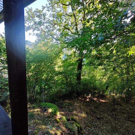 Prodej chaty, Ústí nad Labem - Brná, Pod Ostrým, 35 m2